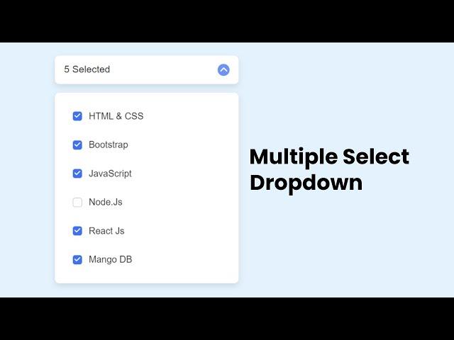 Multiple Select Dropdown With Checkbox Using HTML CSS and JavaScript