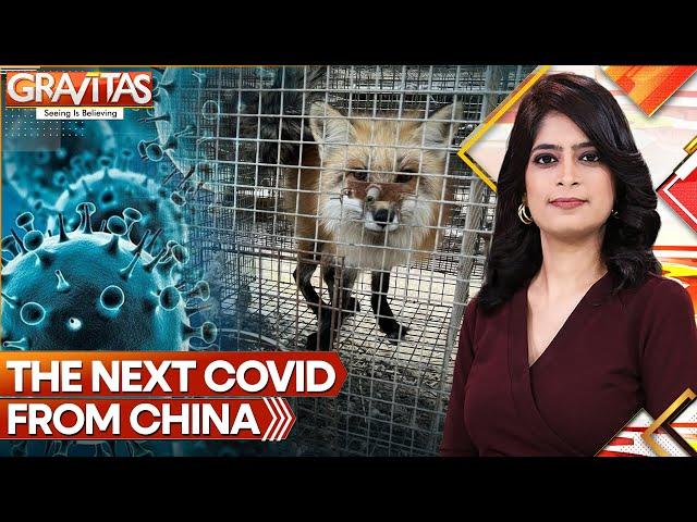 Next Covid From China: Killer Virus Found in Chinese Fur Farms | Gravitas