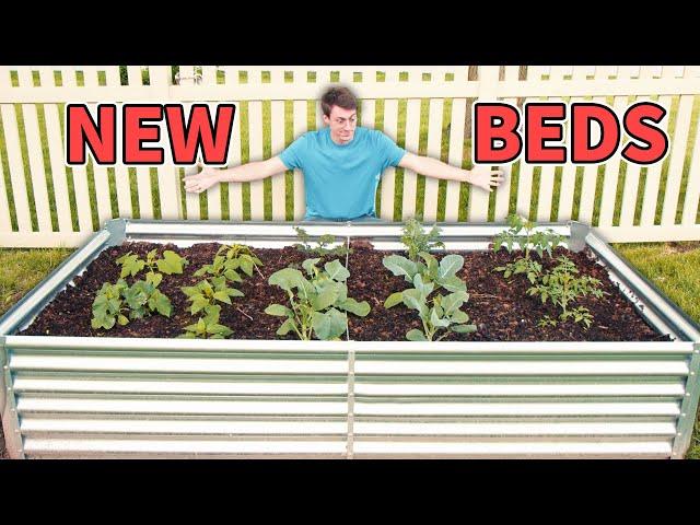 How To Install Metal Garden Beds Featuring LandGuard