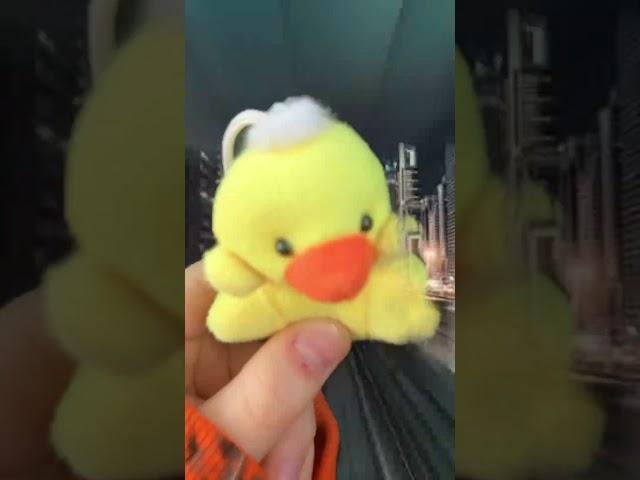 Keep up #ducky #sigma #idkwhattoputhere