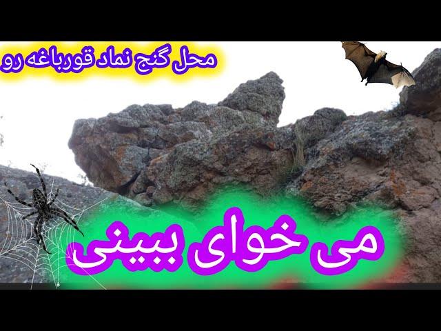 ببینید چطور محل گنج واقعی نماد قورباغه در کنار چشمه نامی را پیدا کردم#گنج #دفینه #زیرخاکی