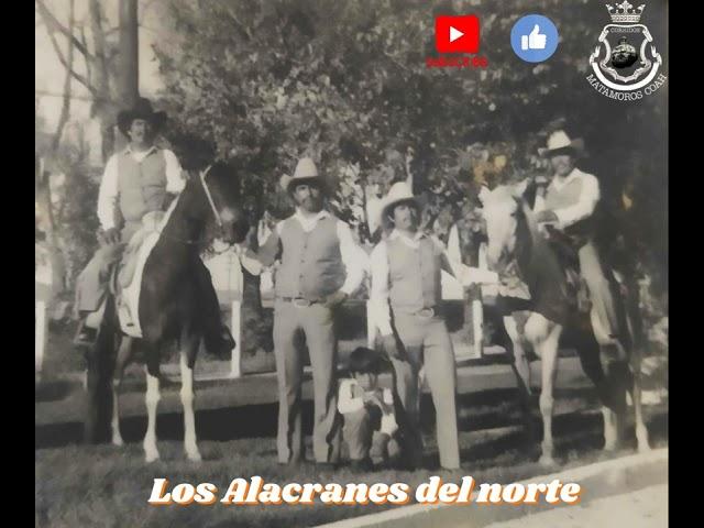 Tello y Tiburcio, Los Alacranes Del Norte De Teo,