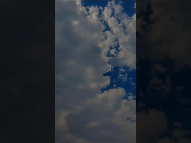 Beautiful moments