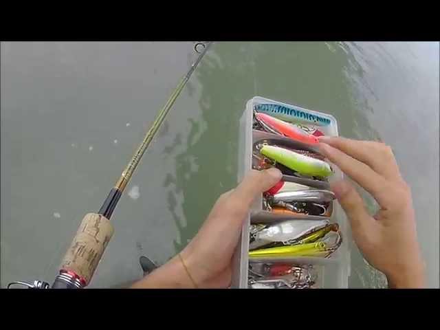 Rapala Flat Rap FLR10  for River Seabass