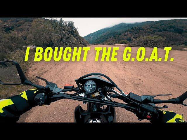 I Bought The G.O.A.T. (Suzuki DR 650)