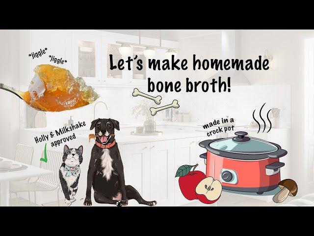 I made homemade bone broth for my pets! 