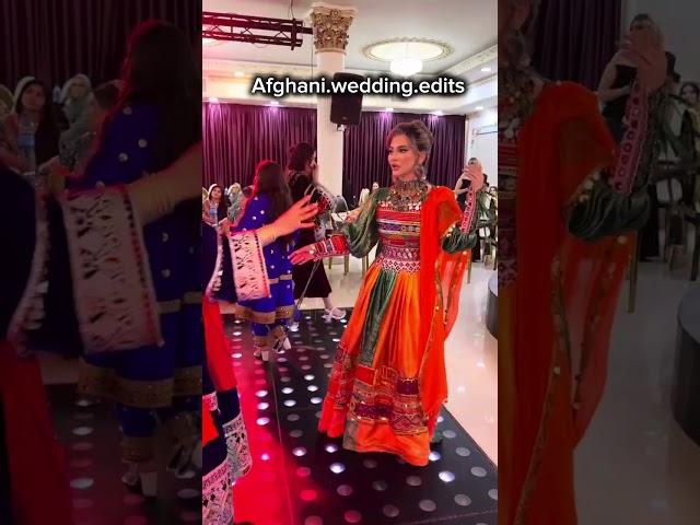 Afghan Wedding Highlights | A Journey of Love & Tradition #AfghanWeddingVibes #NikkahCeremony