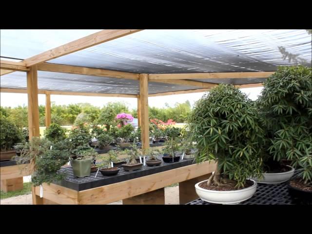 Wigerts Bonsai Nursery - North Fort Myers , Florida U.S.A. by Brasspineapple Productions