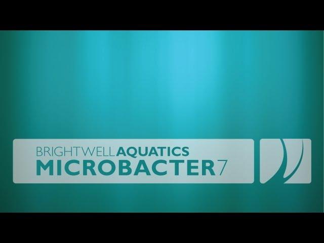 Brightwell Aquatics MicroBacter7 (Thumbs up!)