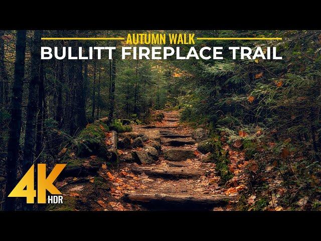 [4K HDR] Fall Colors on Bullitt Fireplace Trail - Relaxing Autumn Walk with Forest Bird Song Sounds