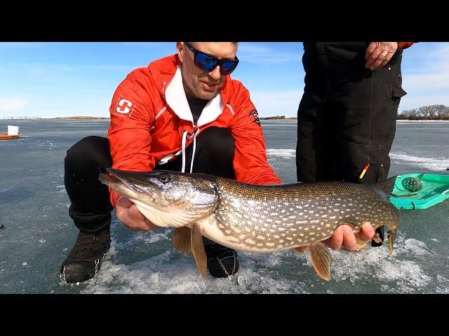 LAST Ice Fishing Pike - After a 70 degree day