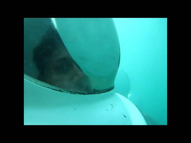 Lets Go Pattaya-Under sea walk exclusive video.wmv