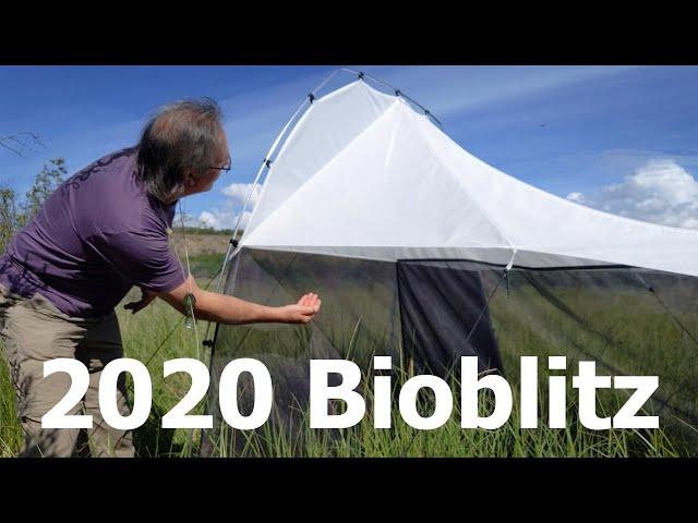 2020 Bioblitz at the Yukon Wildlife Preserve