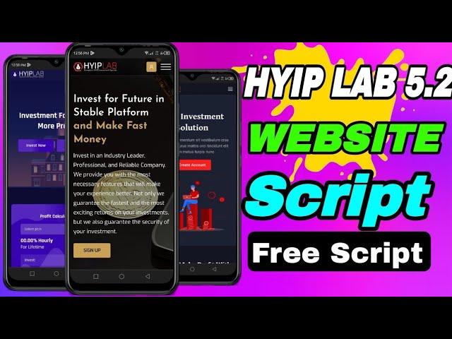 Setup Your Hyip investment Website ll Hyip Lab investment source Code 