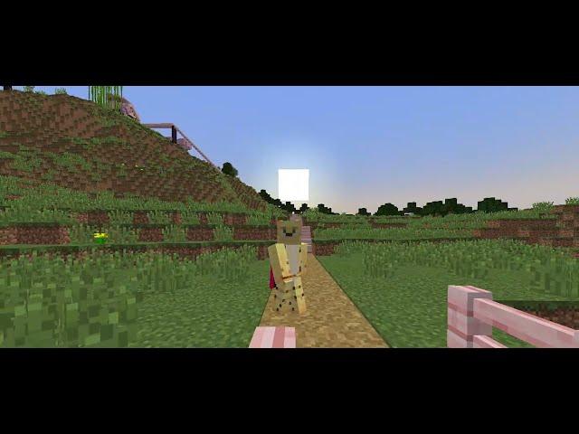 First Survival Video of 2025