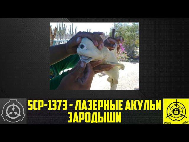 SCP-1373 - Лазерные акульи зародыши        【СТАРАЯ ОЗВУЧКА】