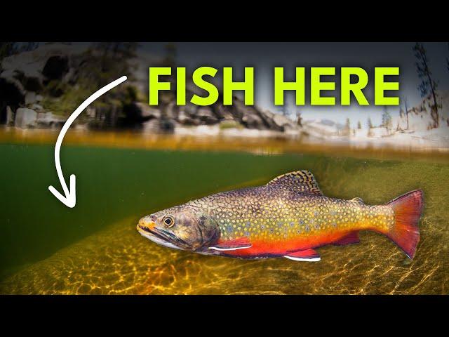 How To Find Trout In A River — Runs 101 | Module 8, Section 5