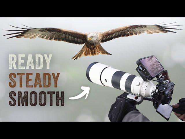 How you get SMOOTH & STEADY wildlife footage