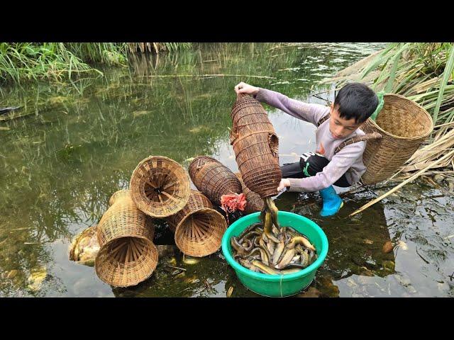 Highland boy khai fish trap, Skill in trapping fish with bamboo baskets, harvesting catfish for sale