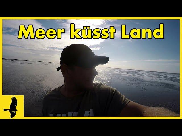 Meer küsst Land - Urlaub an der Nordsee (Friedrichskoog Spitze)