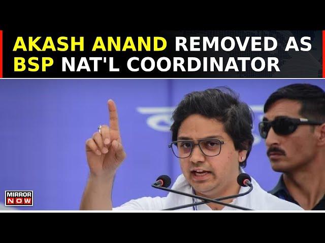 Big Shakeup In Bahujan Samaj Party | Mayawati Removes Nephew Akash Anand As National Coordinator