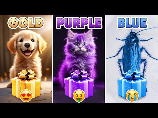 Choose Your Gift...! Gold, Purple or Blue ⭐️ How Lucky Are You?  Quiz Shiba