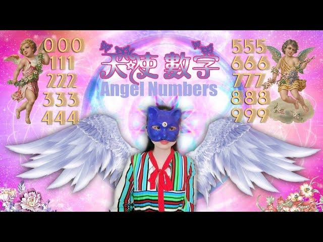 66:Complete Guide to Angel Numbers from 000 to 999!! | Violet Twin Flames