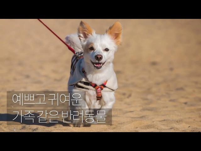 전문 침대청소업체 침대청소방법 침대청소박사비용 알아보기