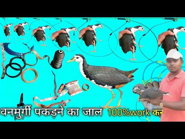 How to Make Water Bird Trap. Waterhen Making Trap.Vangurgi ka Jal.#birdtrap#waterbirdtrap#waterbird.