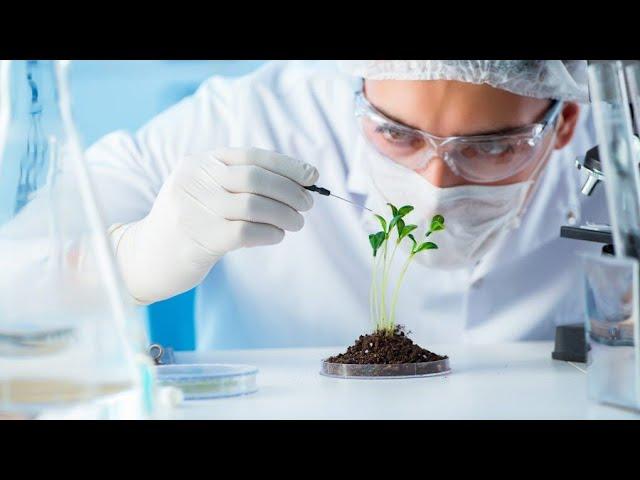 Biotechnology Career  #youtube #feed  #biotechnology #biology #vlog