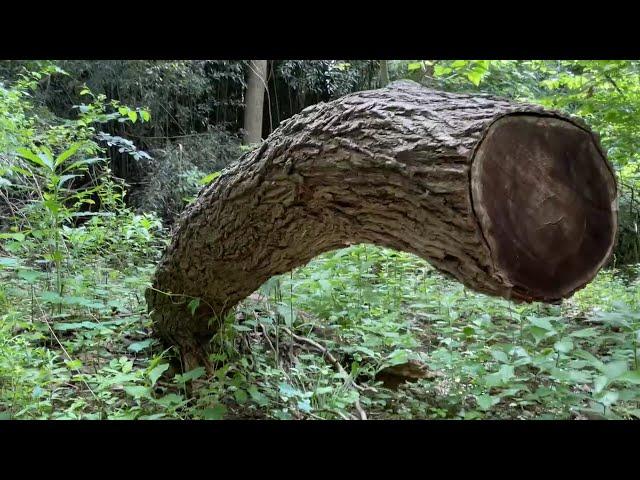 Finding Abandoned Structures on a NATURE Walk