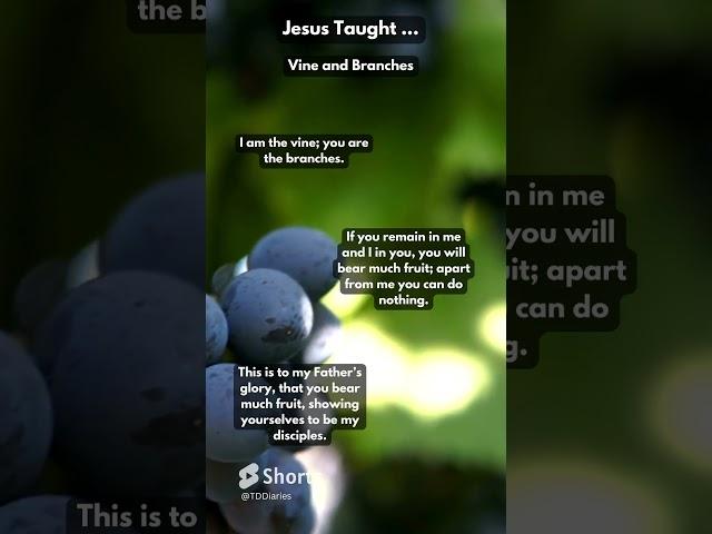 Jesus Taught   The Vine and Branches ...  #jesus #jesusquotes