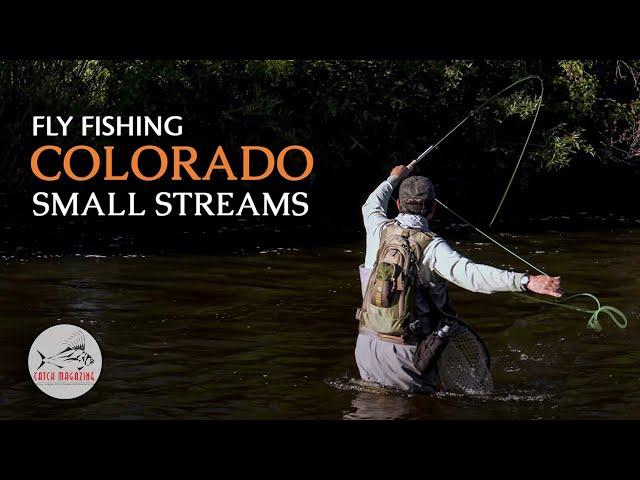 Colorado Fly Fishing - Small CREEK Trout Fishing