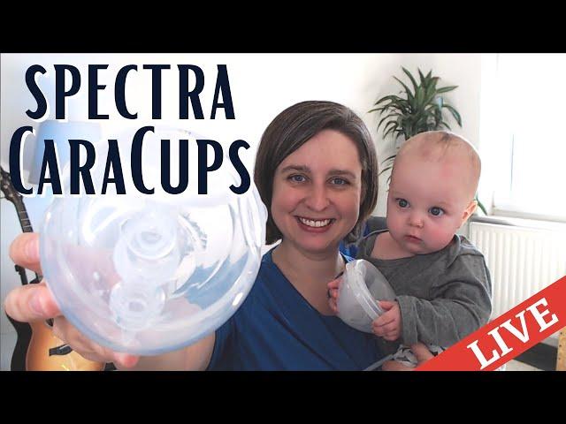 CaraCups from Spectra Review | CARACUPS VS FREEMIE CUPS