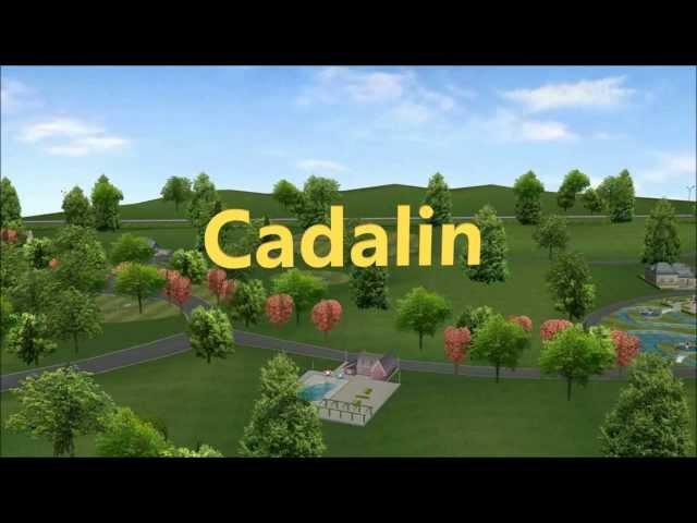 Cadalin嘉德琳