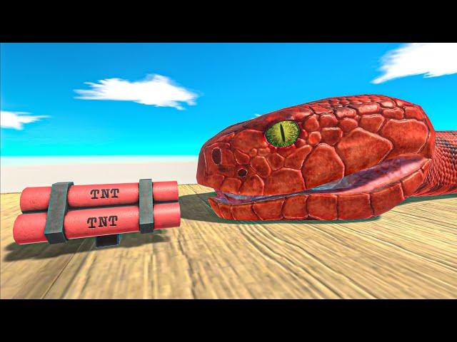 Animals Funny Moments - Animal Revolt Battle Simulator