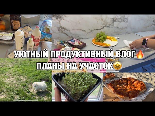 УЮТНЫЙ ПРОДУКТИВНЫЙ  ВЛОГ! НОВЫЕ ПЛАНЫ НА УЧАСТОК! ВКУСНЫЙ ЗАВТРАК! Будни Мамы Влог