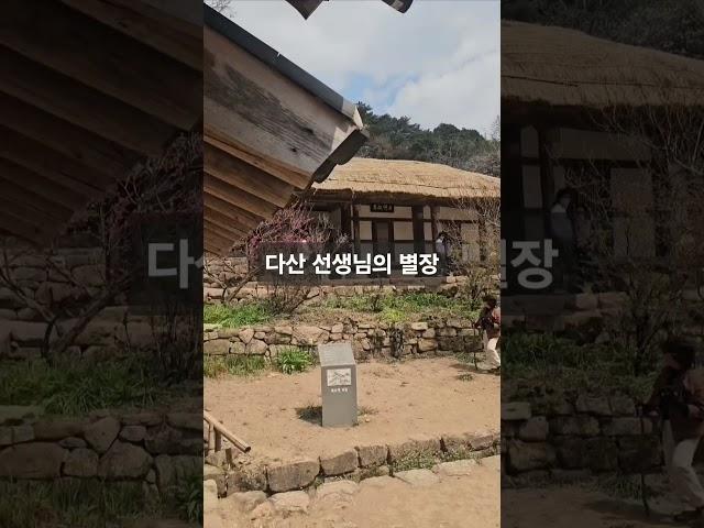 #강진여행 #여행 #풍경그림 #travel #토토 #바다 #여름 #포토존 #여행그리기 #맛집 #여자들만의여행그리기 #정약용 #다산 #바다 #강진만