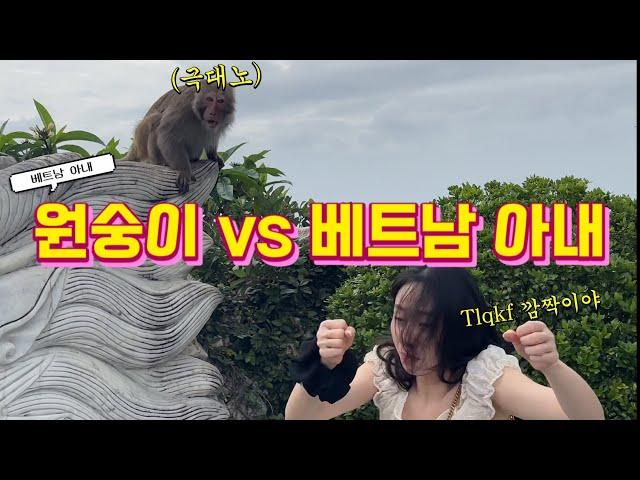 [국제커플] 원숭이한테 까불다 결국.. 원숭이 vs 베트남 아내 | 베트남 여행 ep. 12 |