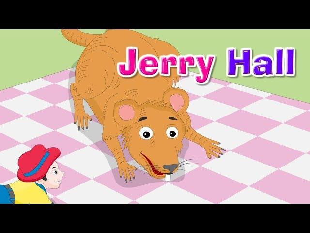 Jerry Hall | Popular Kids Songs and Nursery Rhymes | Kidda TV