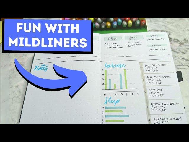 GIVEAWAY + Why I LOVE Zebra Mildliners In My Bullet Journal