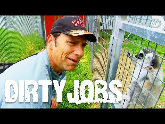 Mike Rowe’s Exotic Animal Adventure in Texas | Dirty Jobs | Discovery