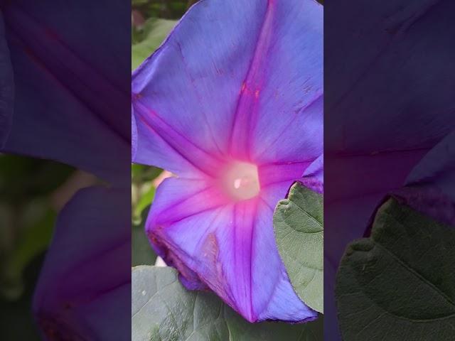 2024年5月8日
