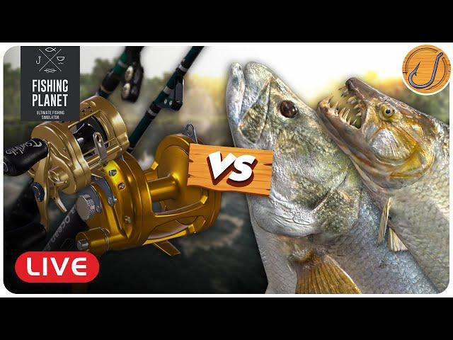 Ocean Gear VS. Congo Fish! | Fishing Planet [LIVE]