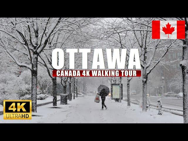 Ottawa Canada Winter Dec 2024 First Snow 4K Walking tour