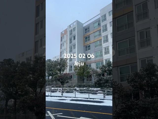 제주도사는친구피셜 제주날씨 어째 겨울같지 않은 1월이더니만 안온만큼 몰려서 내린 눈덕분에 온세상이 겨울왕국인 제주 250206 #jeju #제주날씨 #제주도날씨