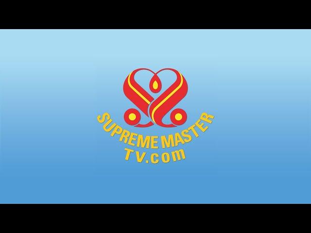 SupremeMasterTV Live (1080p 1 + 119,200 x Max)