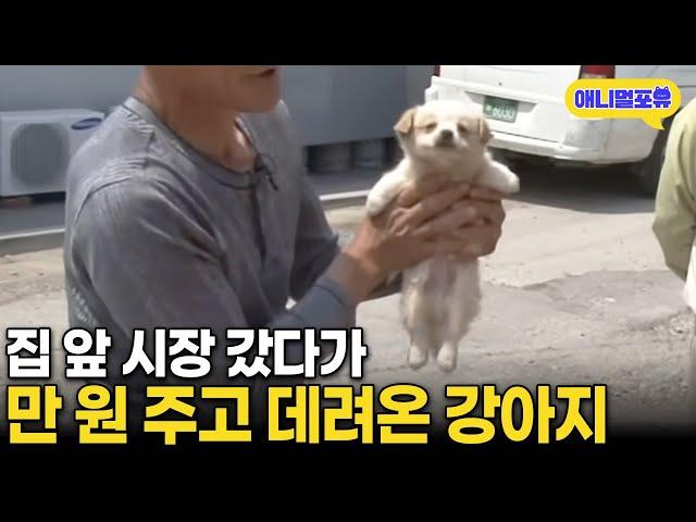 ㅋㅋㅋㅋㅋㅋㅋㅋ 만 원 주고 시장에서 데려온 강아지 I KBS 인간극장 - 수상한 삼형제 2011 방송