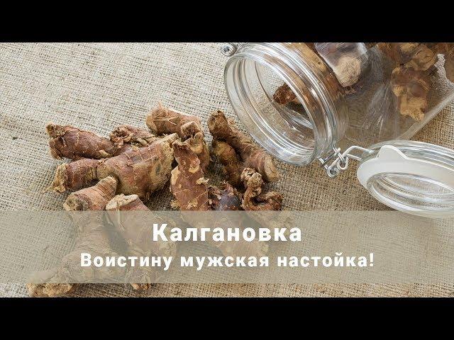 Калгановка. Воистину мужская настойка! Простой рецепт