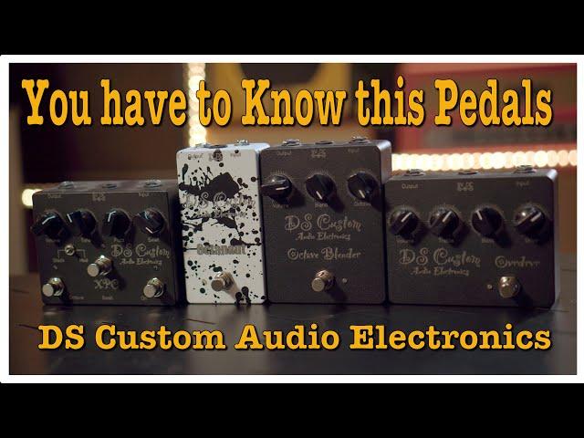 You Have to know this brand - DS Custom Audio Electronics Doctor Guitar EP273